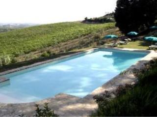Agriturismo Bio Fattoria Bacio Certaldo Exteriér fotografie